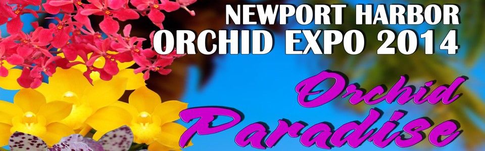 Newport Harbor Orchid Expo and Sale 2014