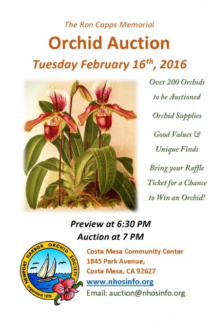 Newport Harbor Orchid Society Monthly Meeting