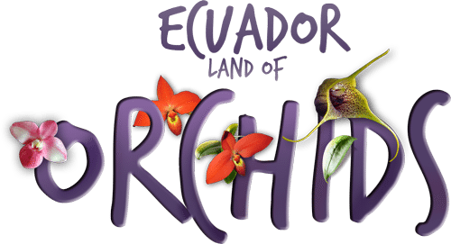 World Orchid Conference Ecuador 2017