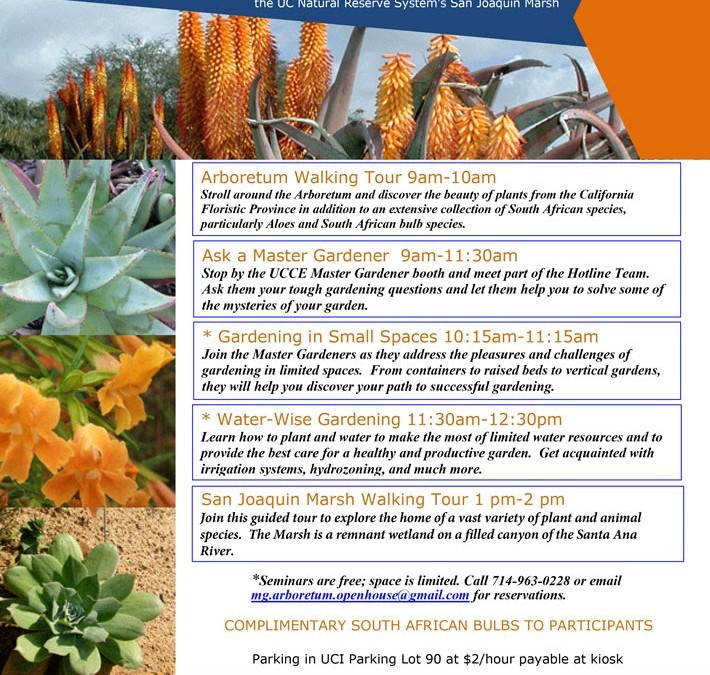 Discover Fall at the UCI Arboretum