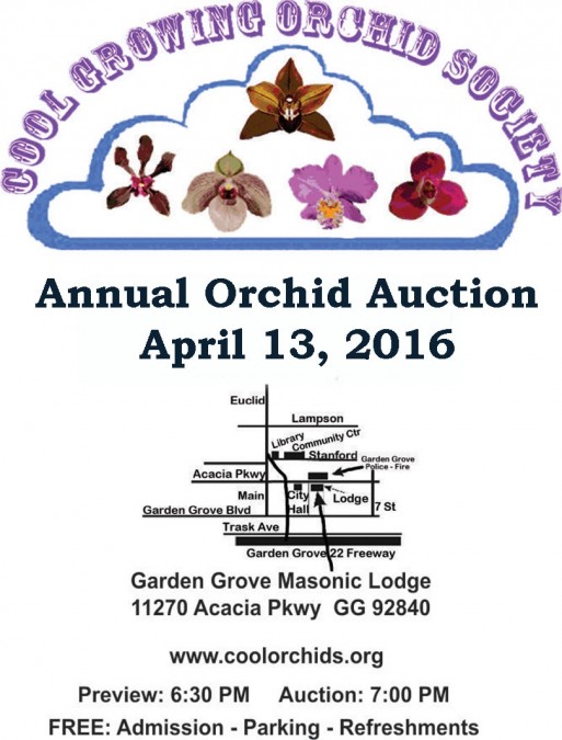 Cool Growing Orchid Society Annual Auction 2016