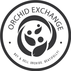 Orchid Exchange