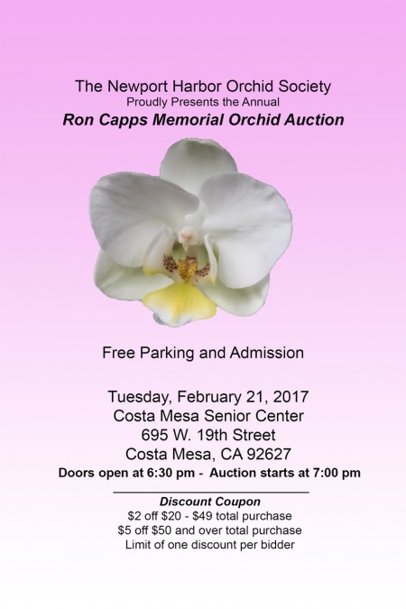 NHOS Monthly Meeting – Ron Capps Memorial Annual Orchid Auction
