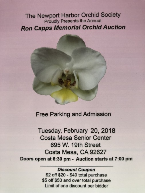 NHOS Monthly Meeting – Ron Capps Memorial Annual Orchid Auction 2018