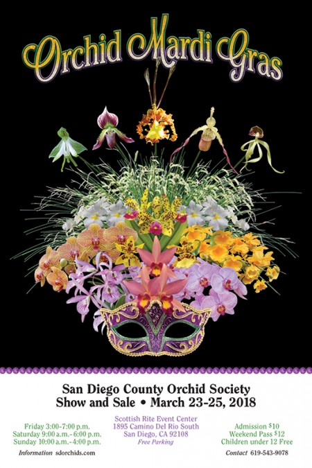 San Diego County Orchid Society Show and Sale - Newport Harbor Orchid