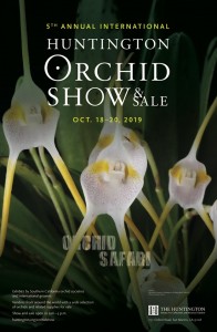 huntington orchisd sale 2019